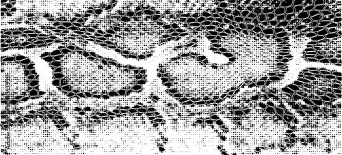 Snakeskin pattern imitation. Lines and spots structural texture. Cool and artsy faux leather background. Abstract vector illustration. Black isolated on white. EPS10