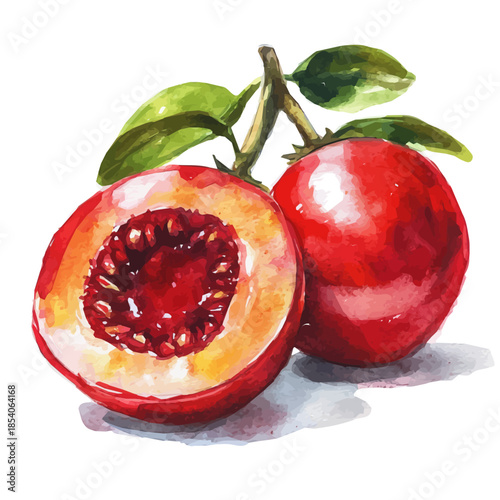 A Watercolor design, with minimal yet artistic elements for creative designs. hand-drawn paint, A beautiful painting of tamarillo_fruit set, EPS format, isolated on a white background