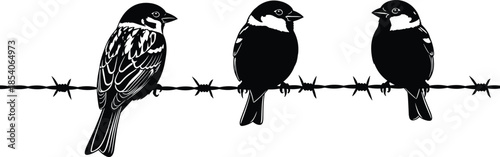 Three black bird silhouettes perched on barbed wire, minimalist wildlife vector illustration, monochrome nature concept design for creative branding posters backgrounds