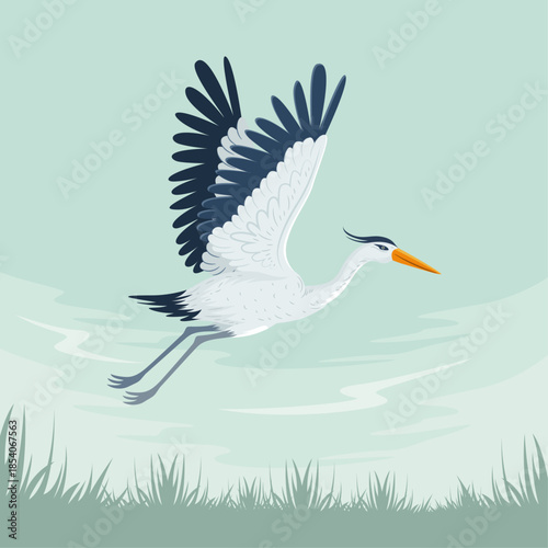 Graceful Heron Flying Over Wetlands