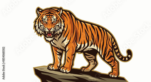 tiger on white background