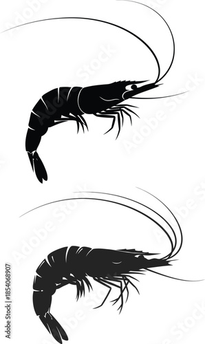 Two black shrimp silhouettes swimming, isolated on transparent