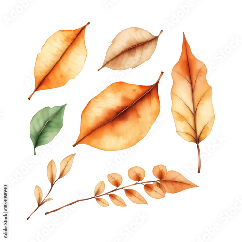 Autumn leaves in various shades