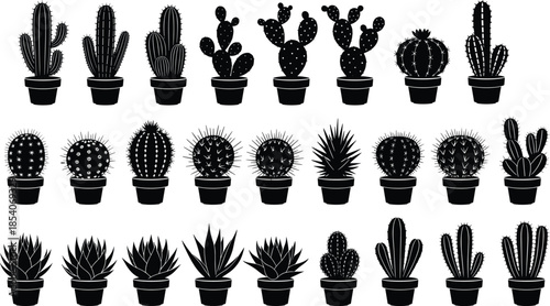 Cactus and succulent silhouettes collection, potted desert plants variety set, botanical minimal design icons, black illustrations isolated on white