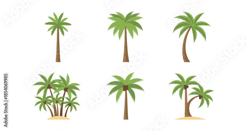 Collection of diverse palm trees in a flat vector illustration style