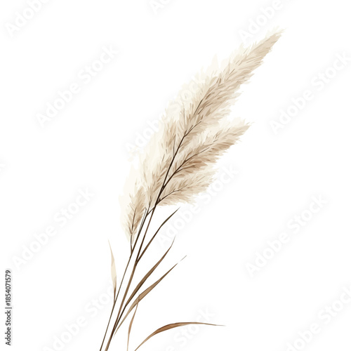 fox_tail_grass, vectorized, Hand-painted style, vector set available in EPS An Elegant watercolor painting design collection