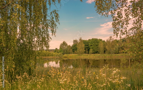 Summer landscape with forest on the river bank