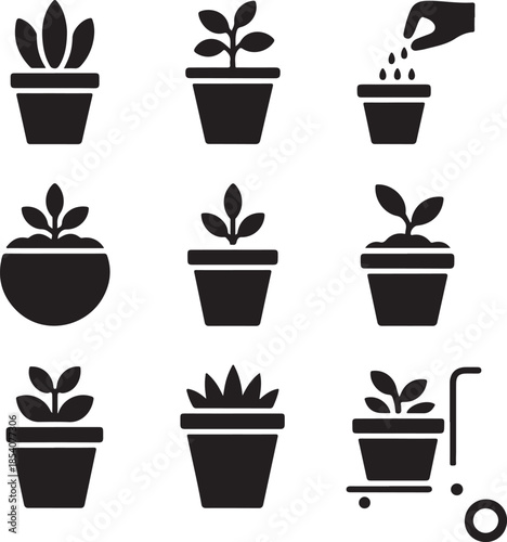 Potted plant, seedling growth, gardening agriculture, sowing seeds, flower pot, nature cultivation, botanical leaf, horticulture farming