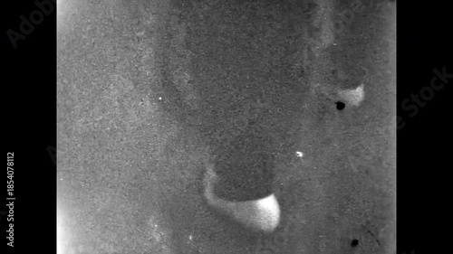 Close up, women feet in high heels on noisy black and white film. Legs in motion at abstract retro party. Dancing female fashion 1960s in nightlife celebration. Old film. Archival vintage archive