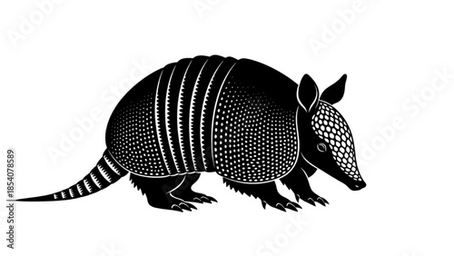 Black Armadillo Silhouette Vector Showing Standing Walking Curling Shell and Resting Poses