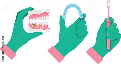 Gloved Hands Holding Dental Teeth Model Clear Aligner and Toothbrush for Stomatology Orthodontic Treatment Oral Hygiene Education and Dentist Office Branding
