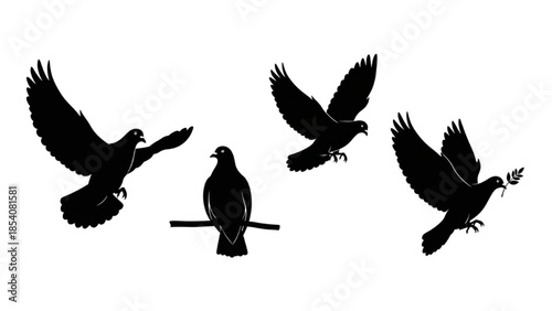 Black Dove Silhouette Vector Showing Flying Landing Perched and Carrying Branch