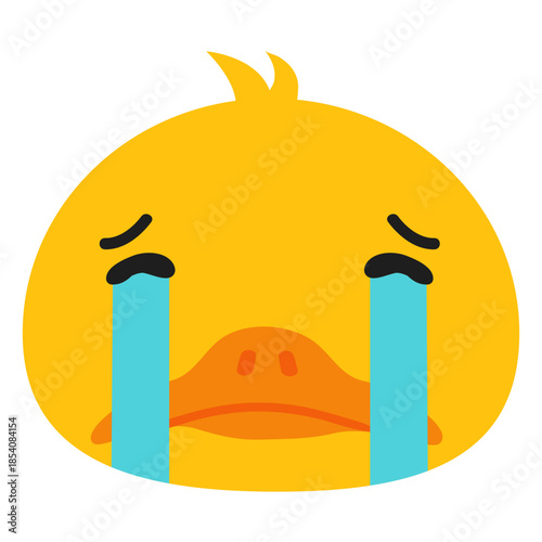 Duck sad muzzle head flat