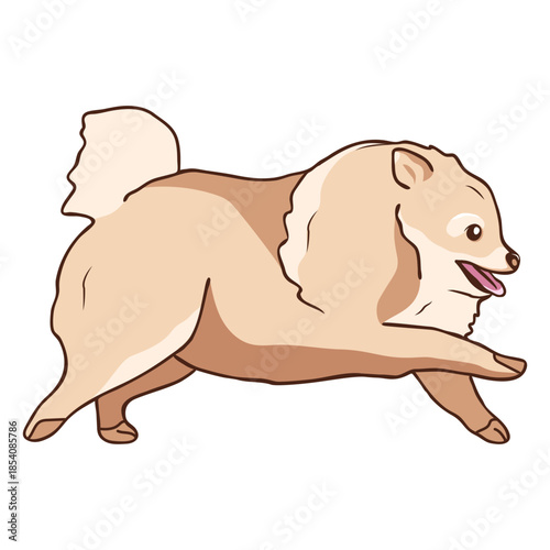Pomeranian dog running illustration