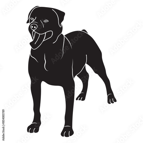 Rottweiler dog black
