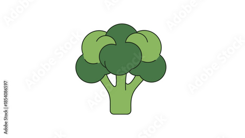 Fresh green broccoli vegetable isolated on white background.