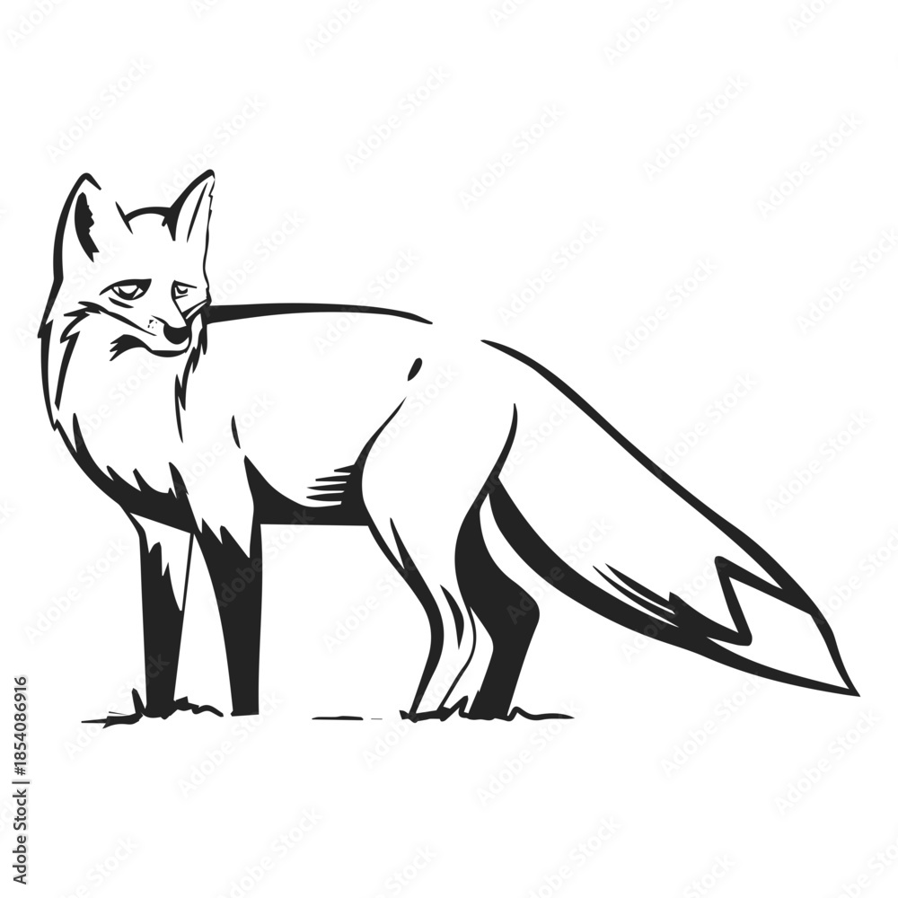 Obraz premium Fox side view drawn