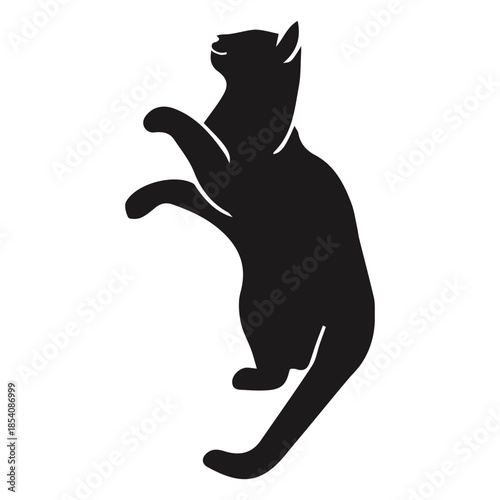 Cat looking up animal silhouette