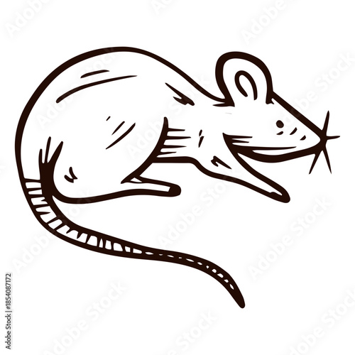 Rat animal hand drawn