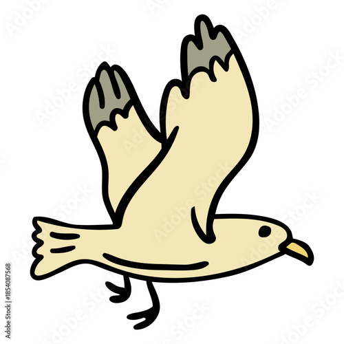 Seagull bird hand drawn