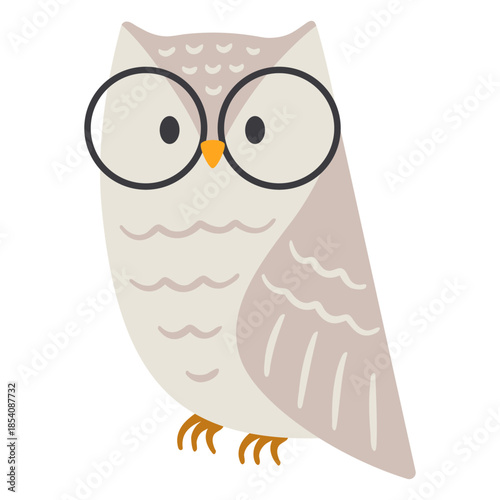 Owl light grey glasses flat