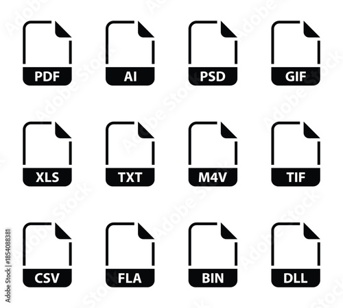 Collection of twelve common file type icons in black and white file, icon, document, format, type, PDF, AI, PSD, GIF, XLS, TXT, M4V, TIF, CSV, FLA, BIN, DLL, technology