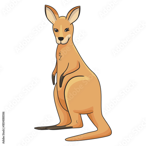 Staring kangaroo drawing