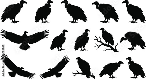 Vulture silhouette icons, bird pose vector, flying perched vultures, scavenger bird artwork, wildlife illustration set, black bird shapes
