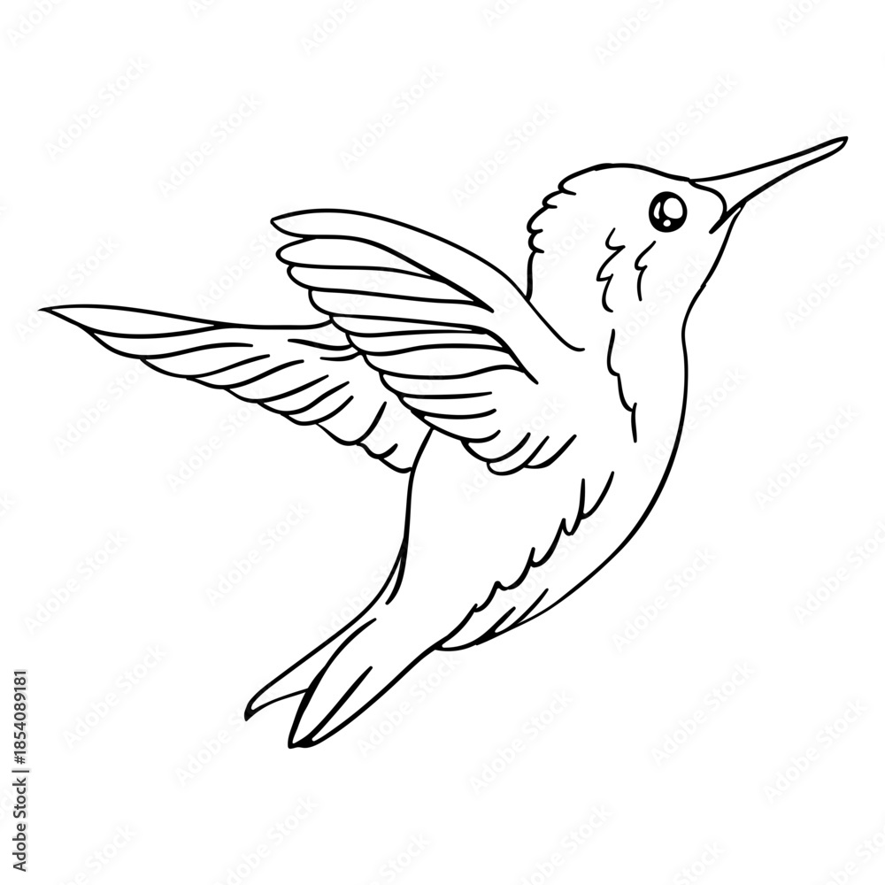 Fototapeta premium Realistic bird hummingbird flying stroke