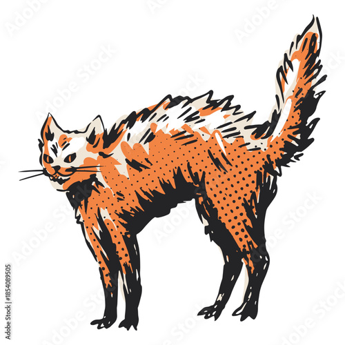 Bristly cat illustration
