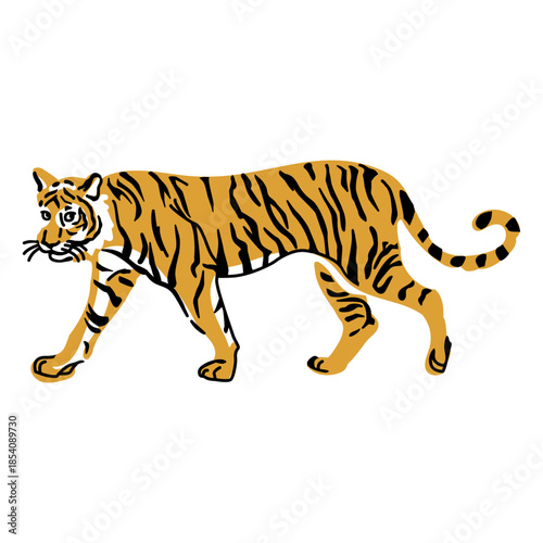 Walking tiger cute look