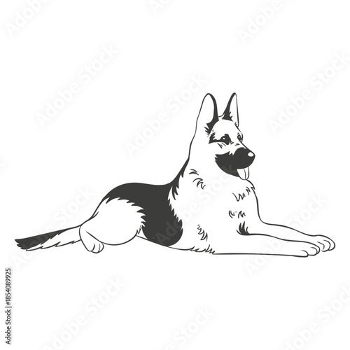 German shepherd laying hand drawn
