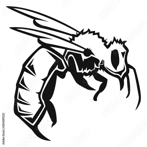 Wasp insect high contrast