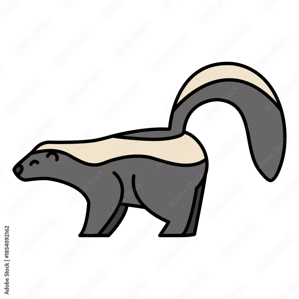 Obraz premium Skunk animal color stroke
