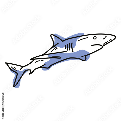 Color stroke shark semi colored