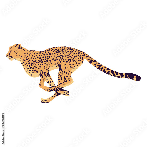 Cheetah animal running