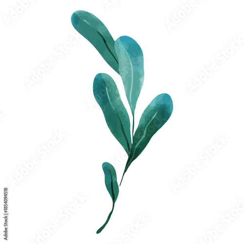 Botanical watercolor nature delicate plant drawing