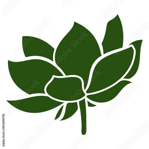 Lotus flower cutout bottom view