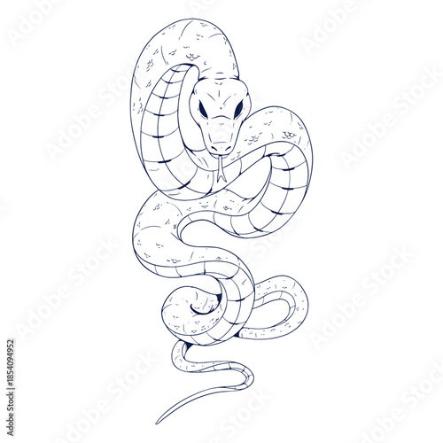 Snake chinese zodiac