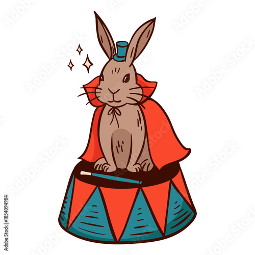 Colored circus magician rabbit