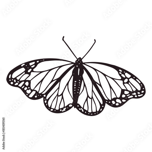 Day of the dead butterfly filled stroke