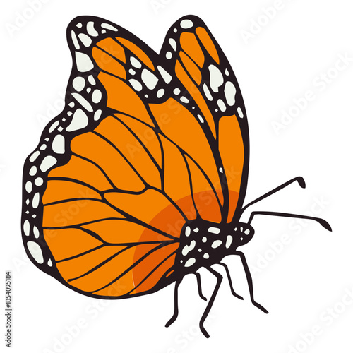 Dia de los muertos orange monarch butterfly color stroke