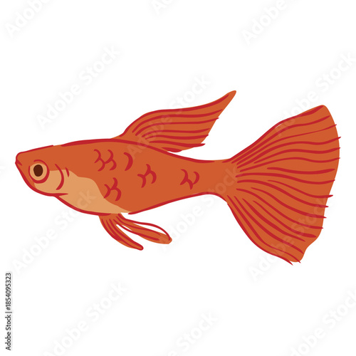 Golden fish swimming semi flat