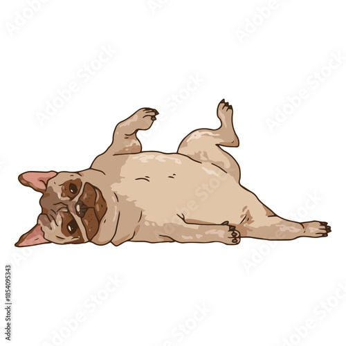 Cute pug illustration resting