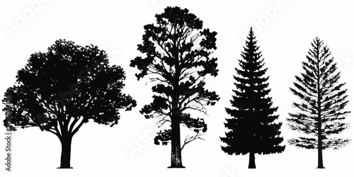 Silhouettes of various trees including deciduous and coniferous species