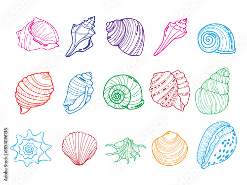 Creative Rainbow Outline Sea Shell Set for Summer Design