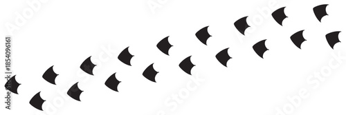 Duck and goose bird footprint silhouettes, diagonal animal tracks vector illustration.