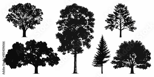 A collection of diverse tree silhouettes against a plain white background