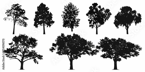 A collection of various tree silhouettes against a plain white background