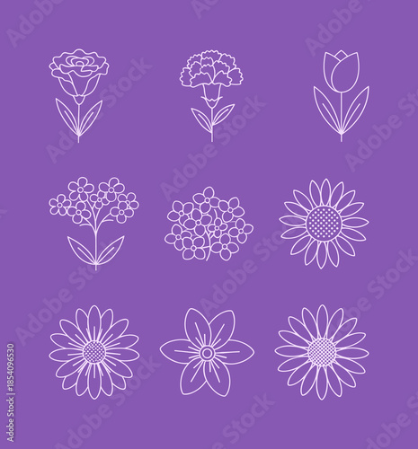 Variety of Spring Flower and Garden Blossom Line Icons Set Vector Illustration of Sunflower Tulip and Daisy for Floral Design